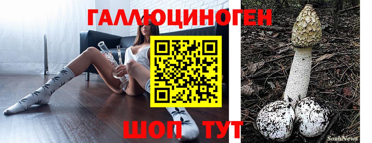 Псилоцибиновые грибы Psilocybe Белгород