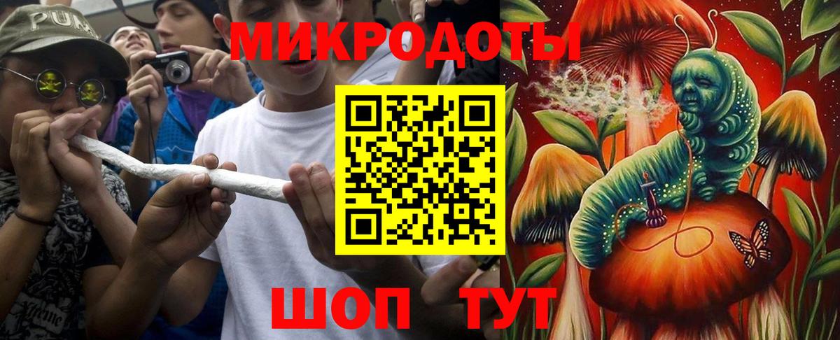 Галлюциногенные грибы Psilocybine cubensis  Вход с VPN  Белгород 